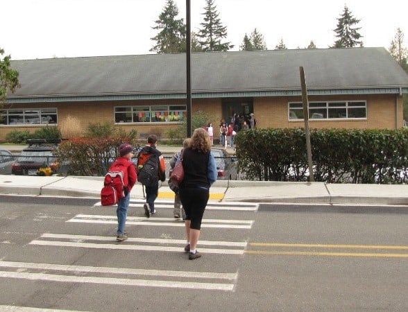 Pedestrian Safety